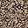 Paisley Blossoms Black
