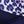 Black Dark Purple