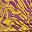 Orange Purple Yellow