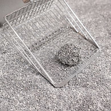 Unscented Premium Clumping Bentonite Clay Cat Litter w/Activated Charcoal