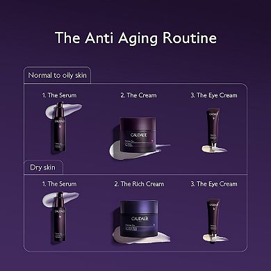 Premier Cru Anti Aging Refillable Cream Moisturizer with Hyaluronic Acid