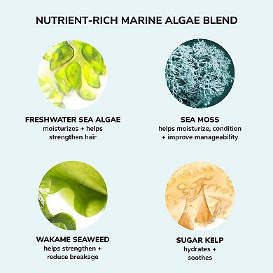 Money Laundering Shampoo for Extreme Hydration and Shine