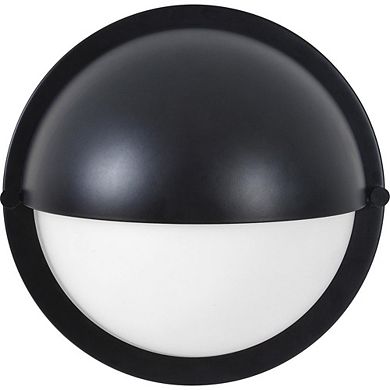 Renwil Raina 1-Light Wall Sconce