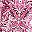 Pink Print