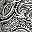 Black Paisley