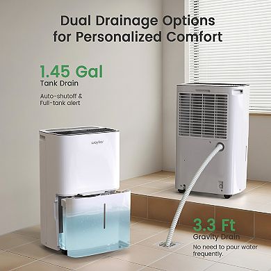 120 Pint Energy Star Dehumidifier for Rooms Basement Space up to 6000 Sq.ft.