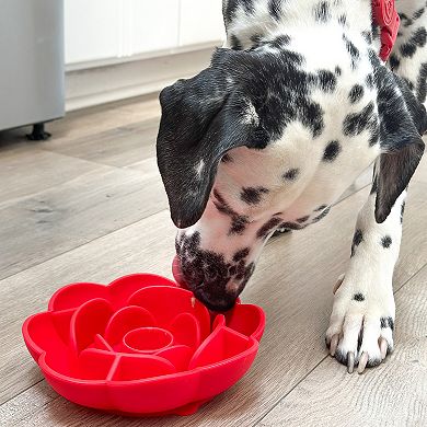 Dog Slow Feeder Flower Bowl