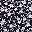 Navy Blue Floral