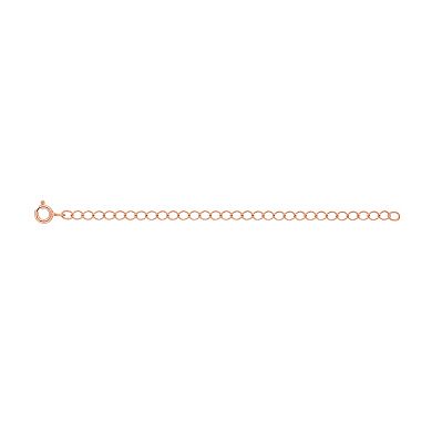 Jewelry Essentials 14k Rose Gold over Sterling Silver 4-Inch Adjustable Chain Extender