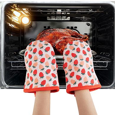 Strawberry Potholder