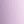 Vibrant Lilac