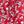 Red Sketchy Floral