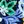 Blue Fresh Floral