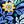 Blue Fresh Floral