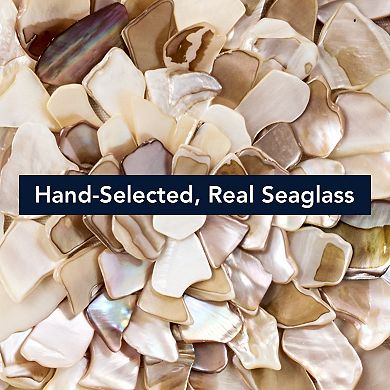 American Art Décor A Shell of a Time 2-pc. Framed Wall Art Set