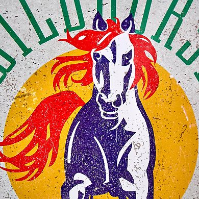 American Art Décor Grand Ole Opry Wildhorse Domed Sign