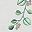 White Green