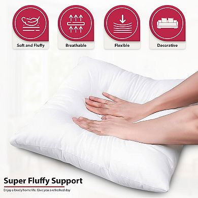 Decorative Throw Pillow Pack of 4 Microfiber Luxurious Soft White Cushions for Home Garden Patio