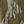 Mossy Oak Bottomland