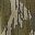 Mossy Oak Bottomland