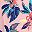 Rose Multicolor