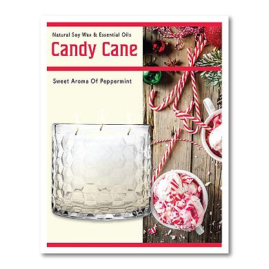 COURTSIDE MARKET Candy Cane Sprig Wall Art & Candy Cane 13.5-oz. Scented Candle Jar Set
