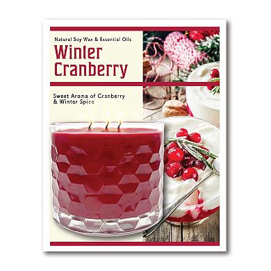 COURTSIDE MARKET Chalet I Framed Wall Art & Winter Cranberry 13.5-oz. Scented Candle Jar Set