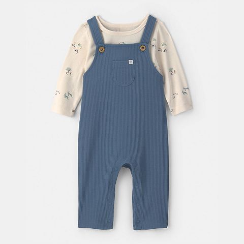 Комплект для малышей Carter's: комбинезон и футболка с длинным рукавом