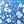 Blue White Flowers
