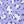 Purple White Flower
