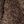 Gray Brown