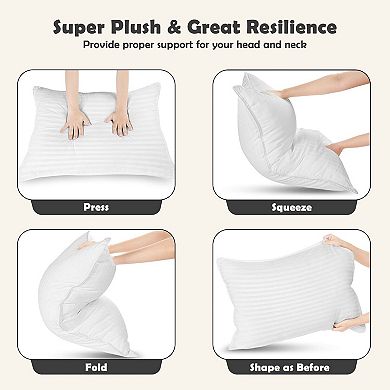 Lux Decor Collection Bed Pillows Hypoallergenic 100% Polyester Pack of 2 Stripe Pillow