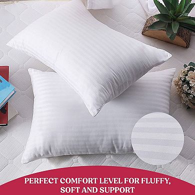 Lux Decor Collection Bed Pillows Hypoallergenic 100% Polyester Pack of 2 Stripe Pillow