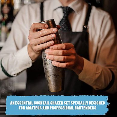 16 Oz & 20 Oz Stainless Steel Shaker Set