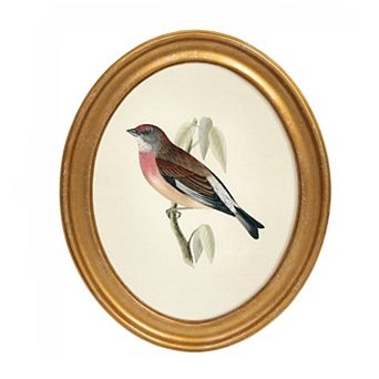 Belle Maison 10" x 12" Oval Bird Wall Art Under Glass