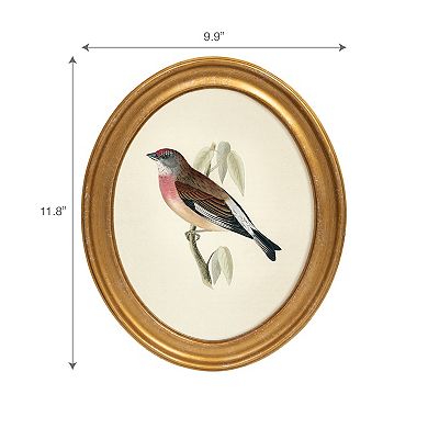 Belle Maison 10" x 12" Oval Bird Wall Art Under Glass