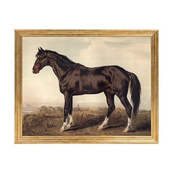 Belle Maison 11" x 14" Horse Wall Art Under Glass