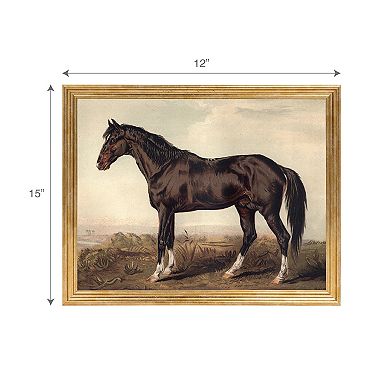 Belle Maison 11" x 14" Horse Wall Art Under Glass