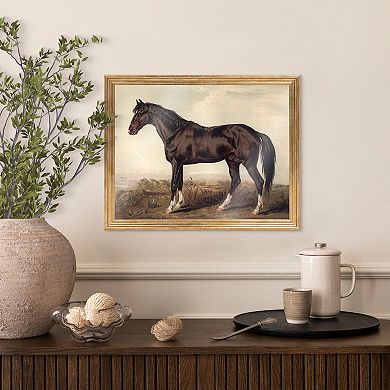 Belle Maison 11" x 14" Horse Wall Art Under Glass