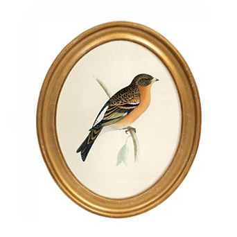 Belle Maison 10" x 12" Oval Bird Wall Art Under Glass
