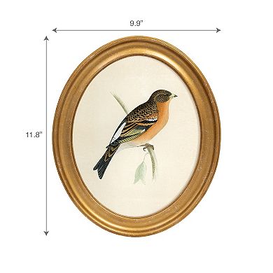 Belle Maison 10" x 12" Oval Bird Wall Art Under Glass