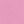 Carnation Pink