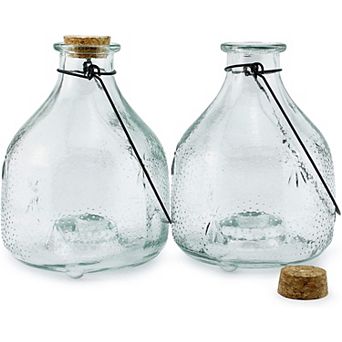 Glass Wasp Traps, 2 pk Hanging Insect Catchers for Garden or Patio Use