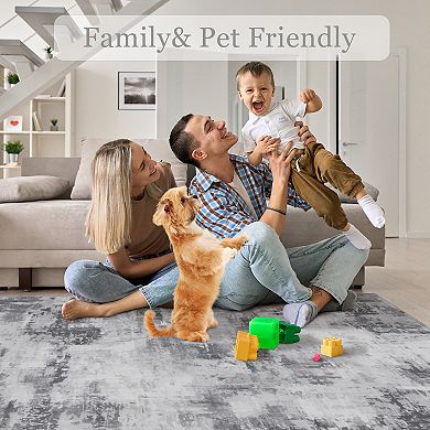 Area Rug Washable Non-Shedding Abstract Rug Soft Non-Slip Rug for Living Room Dining Room Indoor