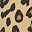 Leopard And Black