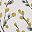 Grayblue Yellowflower