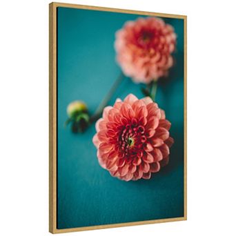 Sylvie Vibrant Pink Dahlia Floral Framed Canvas by Patricia Hasz of Patricia Rae Photography