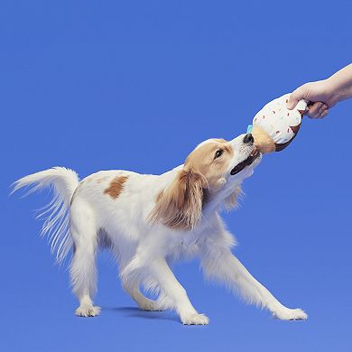 BARK Ice Cream Cone Plush Pet Toy