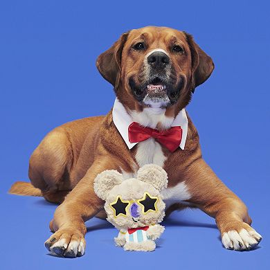 BARK Koalnival Barker Plush Pet Toy