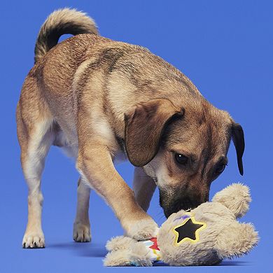 BARK Koalnival Barker Plush Pet Toy